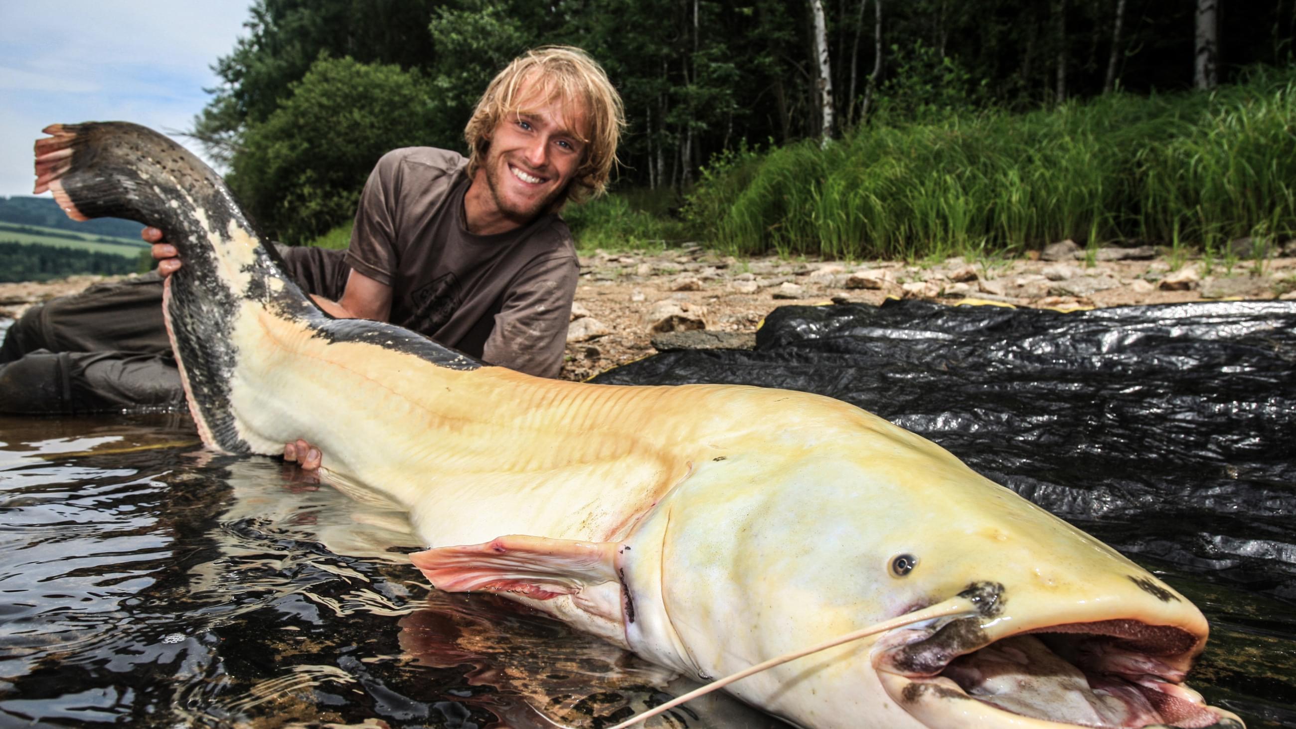 Sumec Dobrodruh, cestovatel, rybář